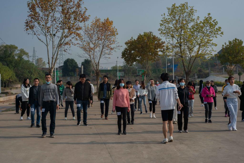 yl23455永利官网