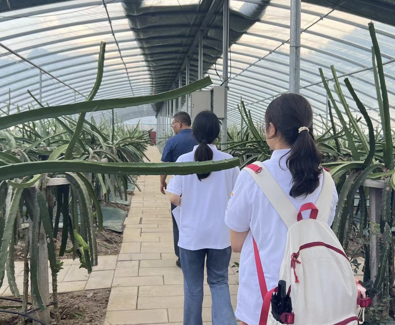yl23455永利官网