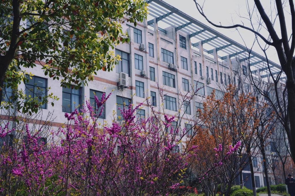 yl23455永利官网