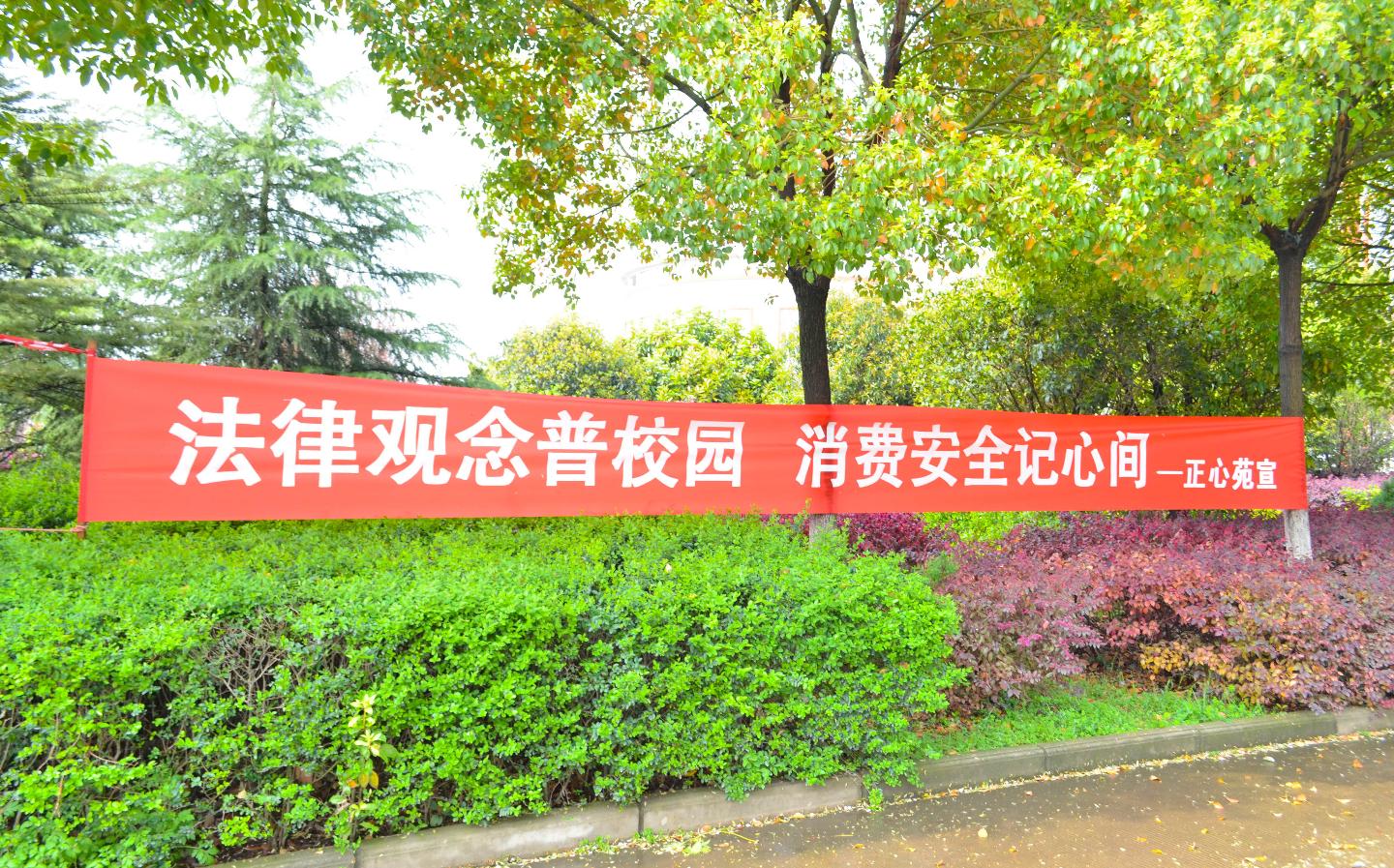 yl23455永利官网