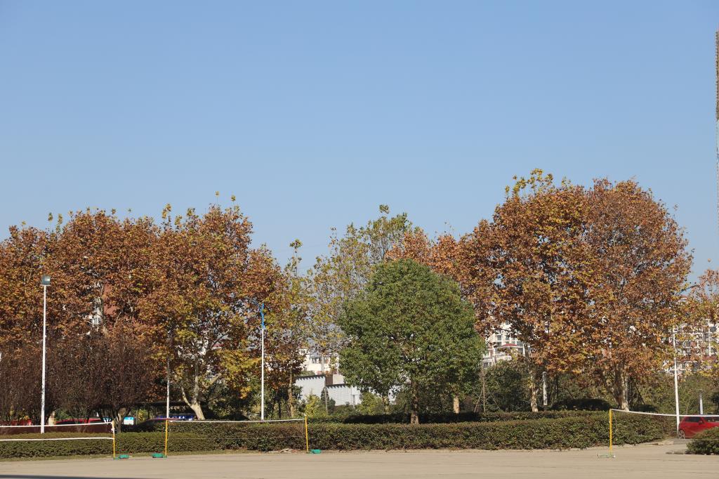 yl23455永利官网