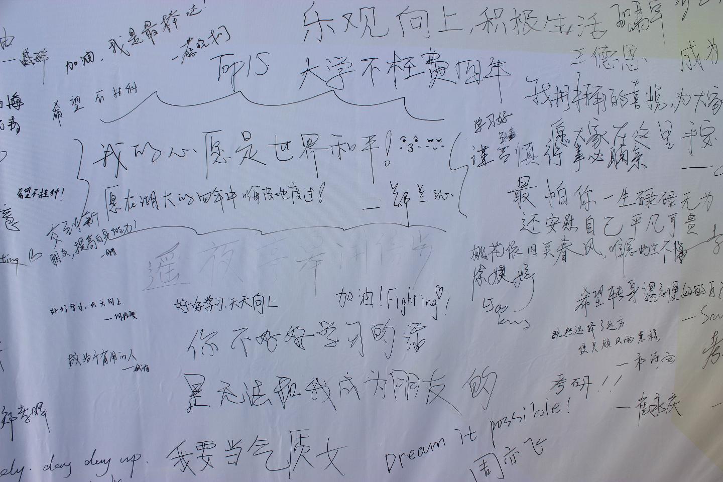 yl23455永利官网