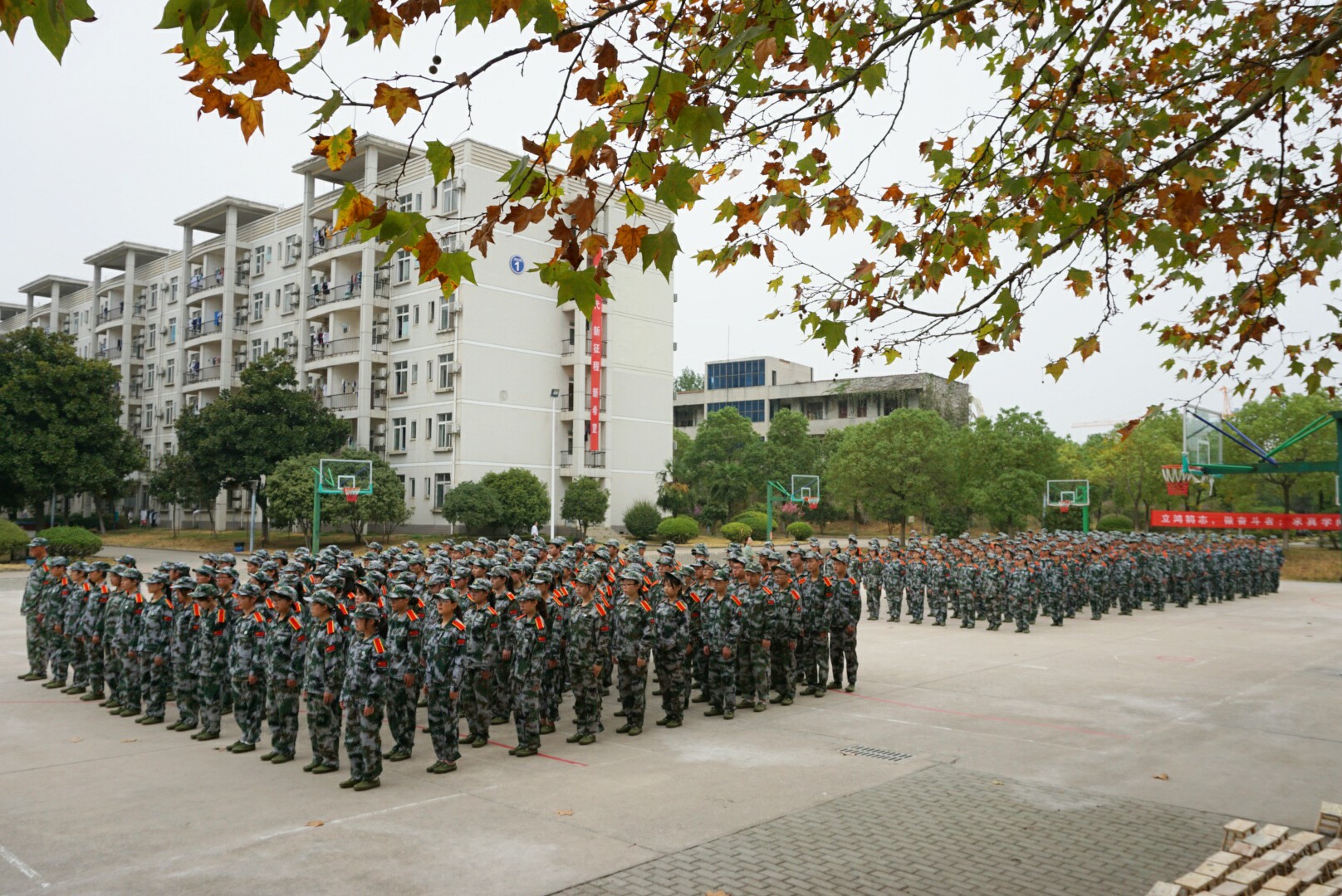 yl23455永利官网