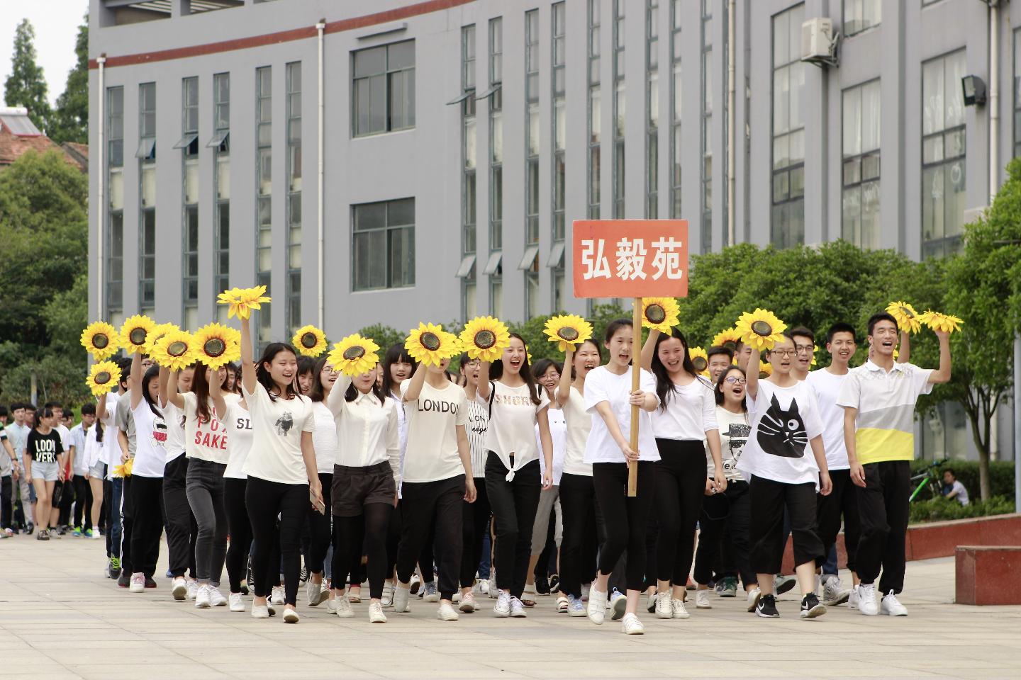 yl23455永利官网