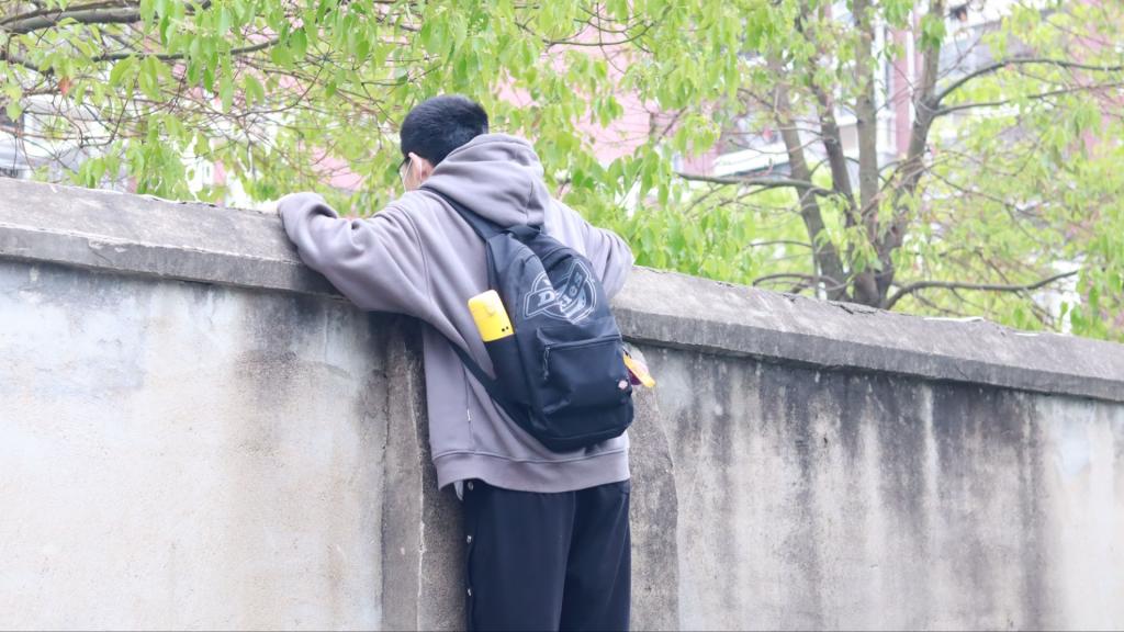 yl23455永利官网
