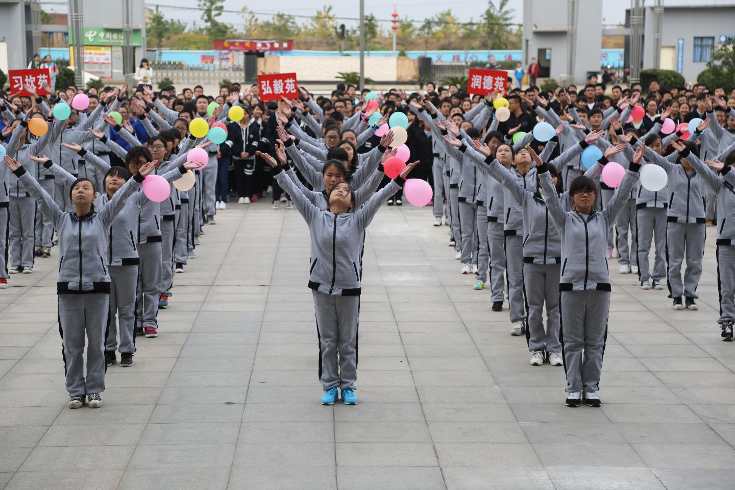 yl23455永利官网